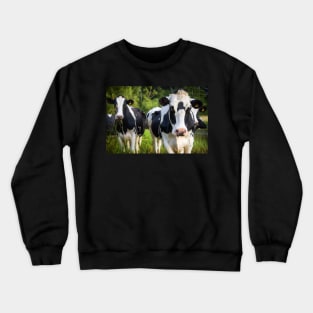 The Curious Cows Crewneck Sweatshirt